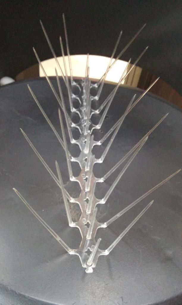 Pigeon Control Spikes (Set of 10) - Gadget Villa