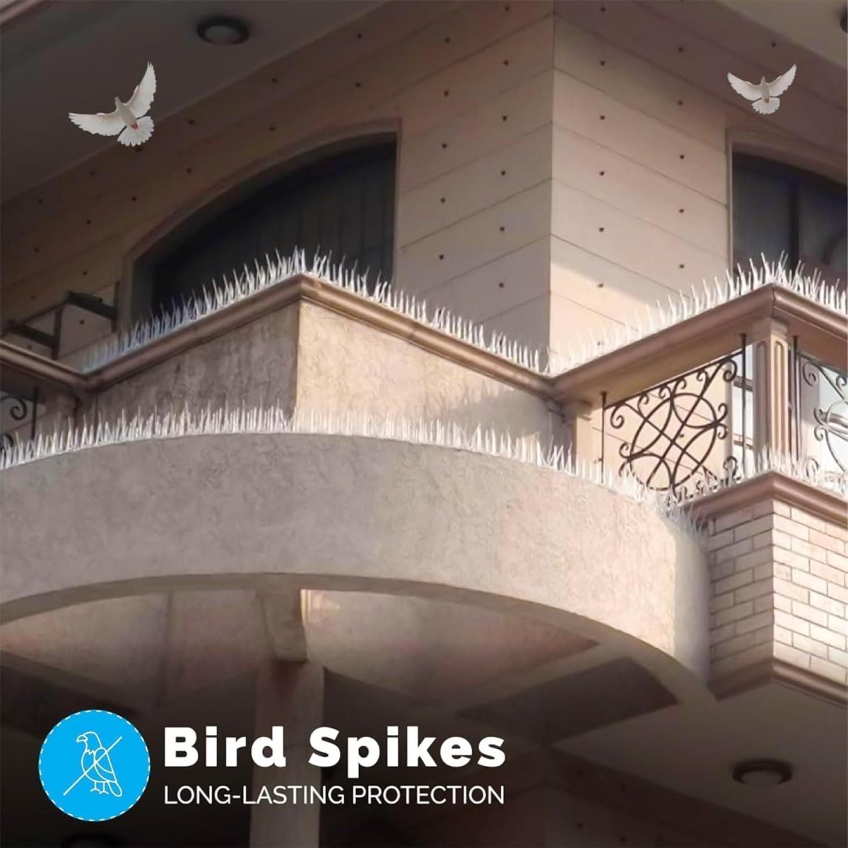Pigeon Control Spikes (Set of 10) - Gadget Villa