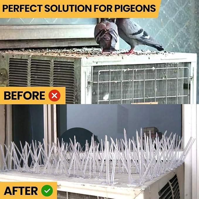Pigeon Control Spikes (Set of 10) - Gadget Villa