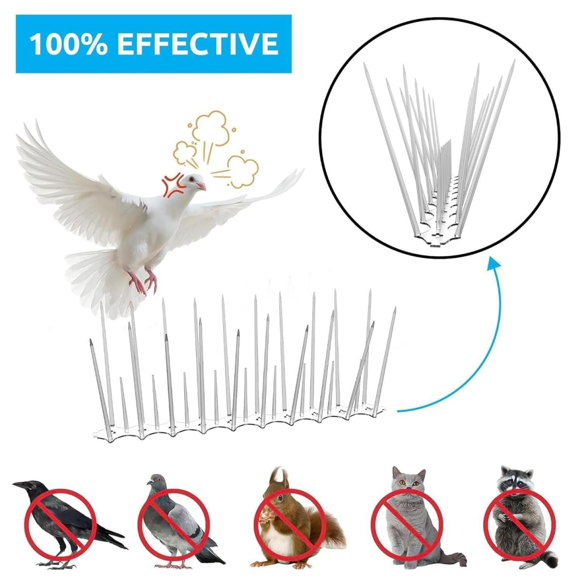 Pigeon Control Spikes (Set of 10) - Gadget Villa