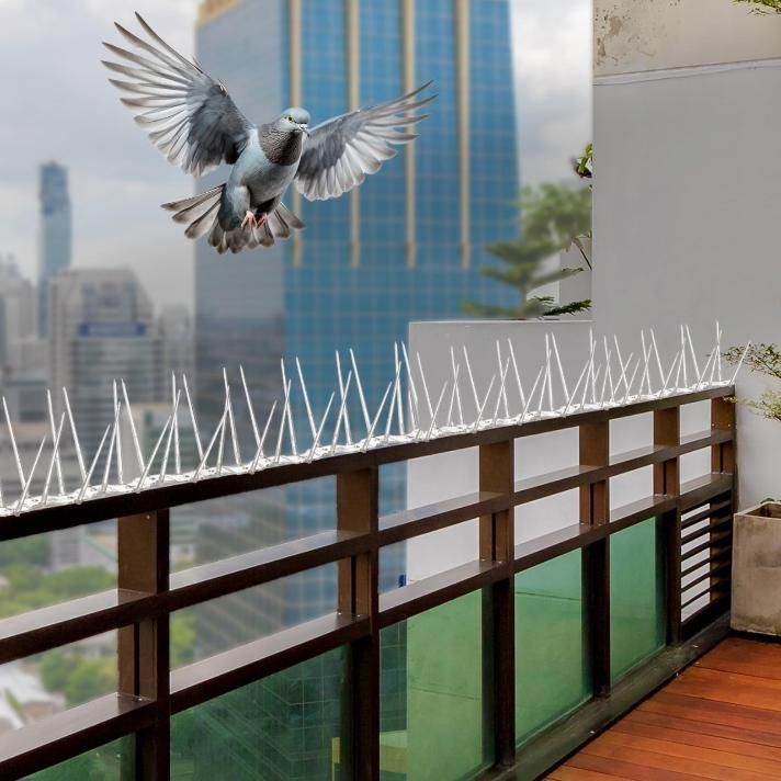 Pigeon Control Spikes (Set of 10) - Gadget Villa