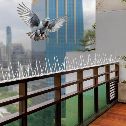 Pigeon Control Spikes (Set of 10) - Gadget Villa
